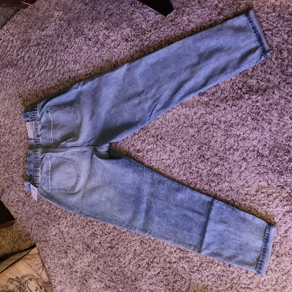 Buckle Willow and Root Paperbag Jeans